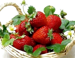 Клубничный сезон: что необходимо знать о вкусной ягоде?