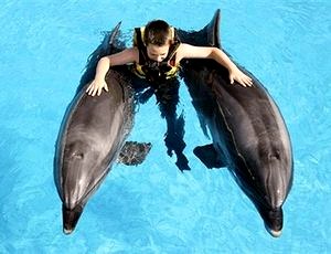 Лечение детей с помощью дельфинотерапии